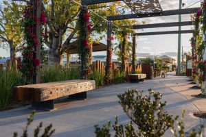 Regional Revitalisation
